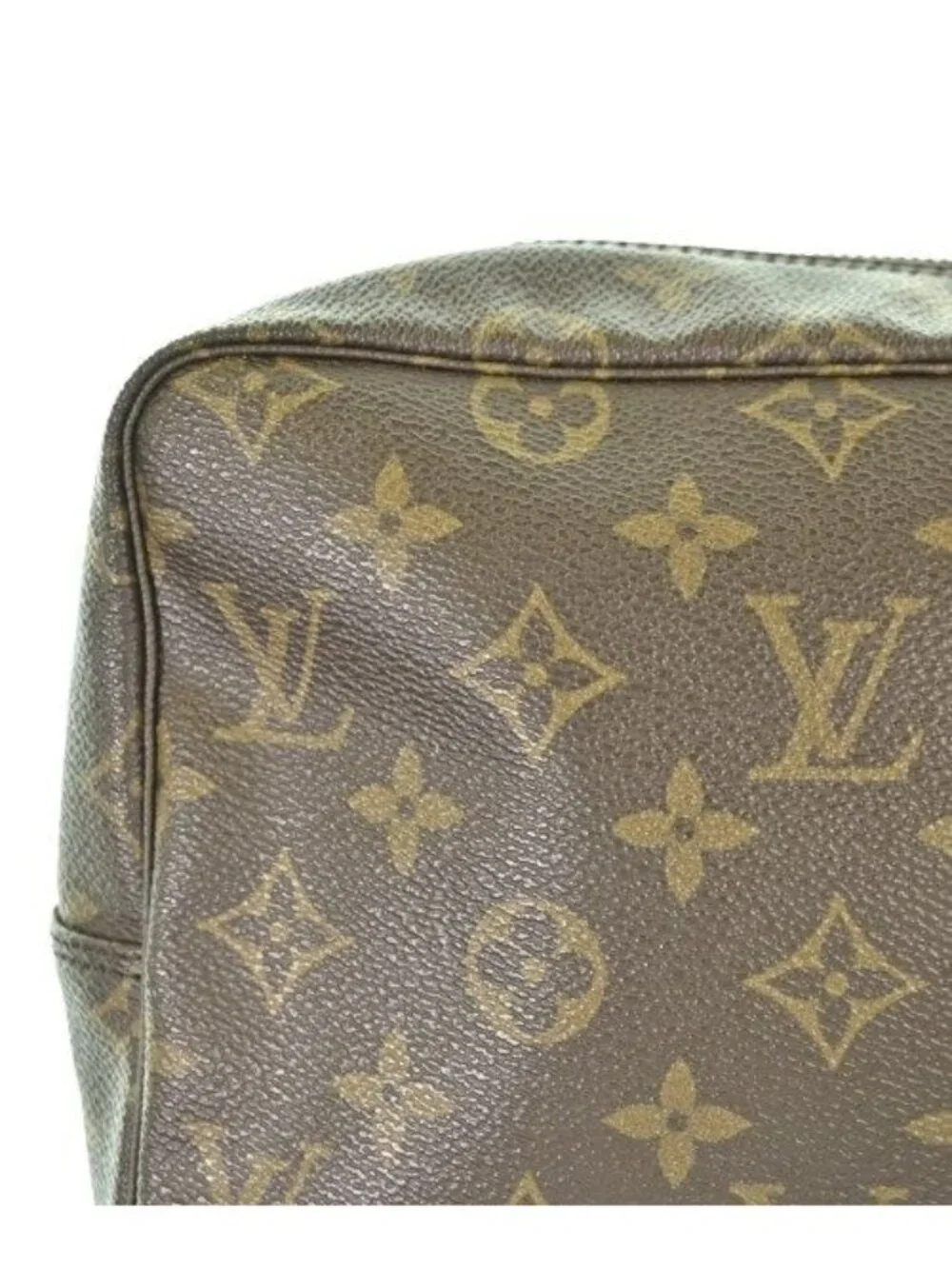 Louis Vuitton brand louis